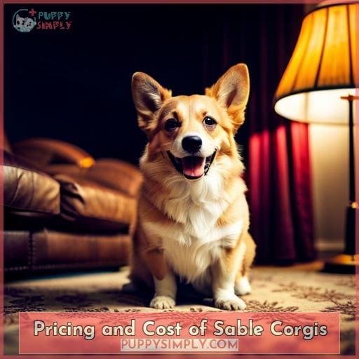Pricing and Cost of Sable Corgis