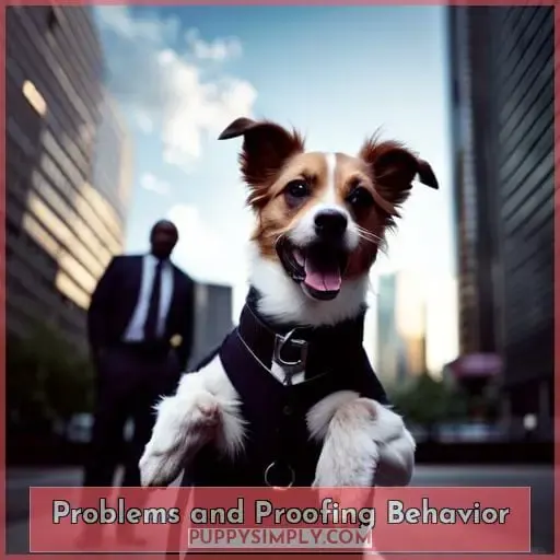 Problems and Proofing Behavior