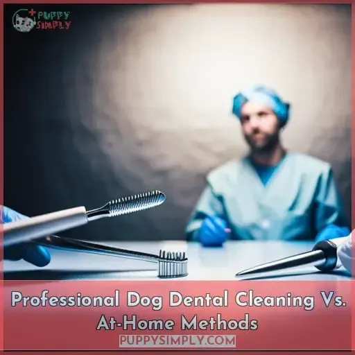 Professional Dog Dental Cleaning Vs. At-Home Methods
