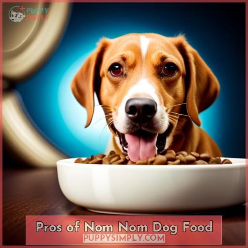 Pros of Nom Nom Dog Food