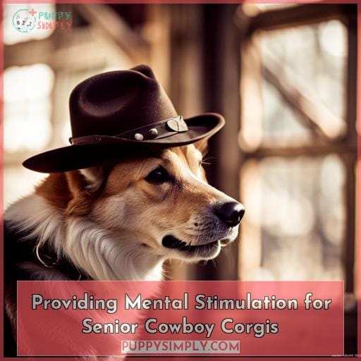 Providing Mental Stimulation for Senior Cowboy Corgis