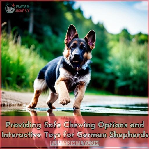 Providing Safe Chewing Options and Interactive Toys for German Shepherds