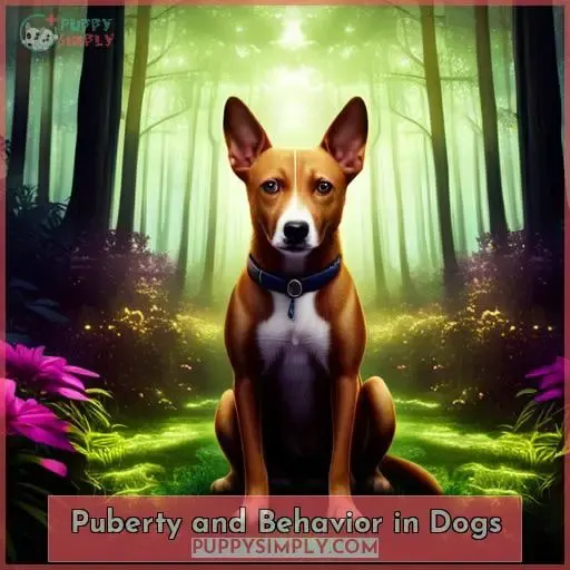 Puberty and Behavior in Dogs