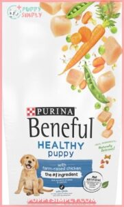 Purina Beneful Healthy Puppy With 28734