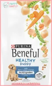 Purina Beneful Healthy Puppy With