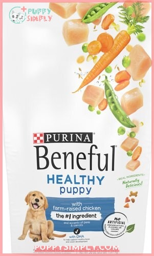 Purina Beneful Healthy Puppy With