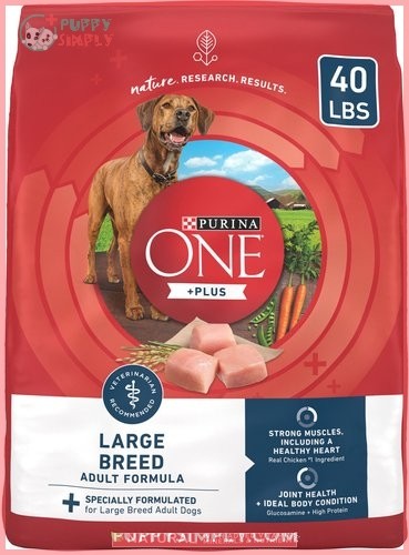 Purina ONE Natural Large Breed