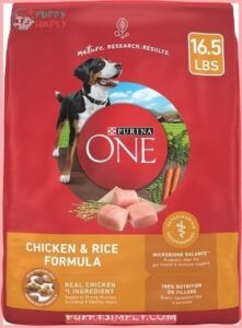 Purina ONE Natural SmartBlend Chicken 29835