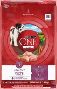 Purina ONE +Plus Natural High 119620