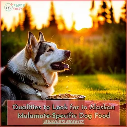 Qualities to Look for in Alaskan Malamute-Specific Dog Food