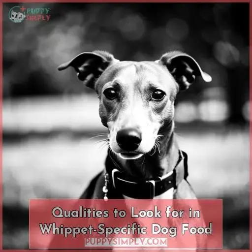 Qualities to Look for in Whippet-Specific Dog Food