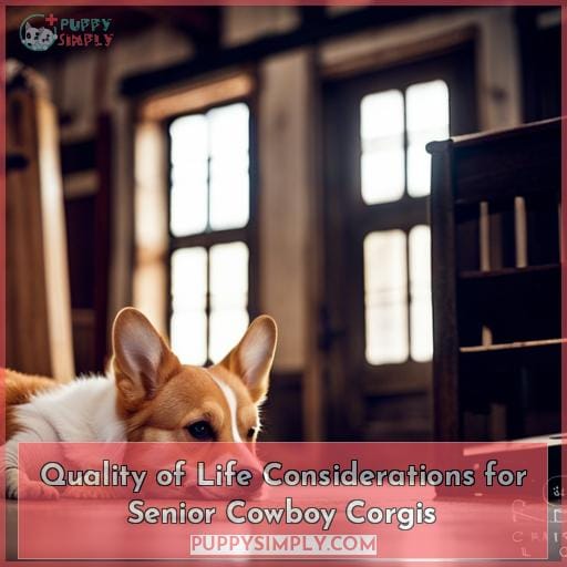 Quality of Life Considerations for Senior Cowboy Corgis
