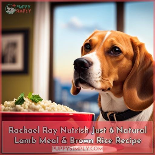 Rachael Ray Nutrish Just 6 Natural Lamb Meal & Brown Rice Recipe