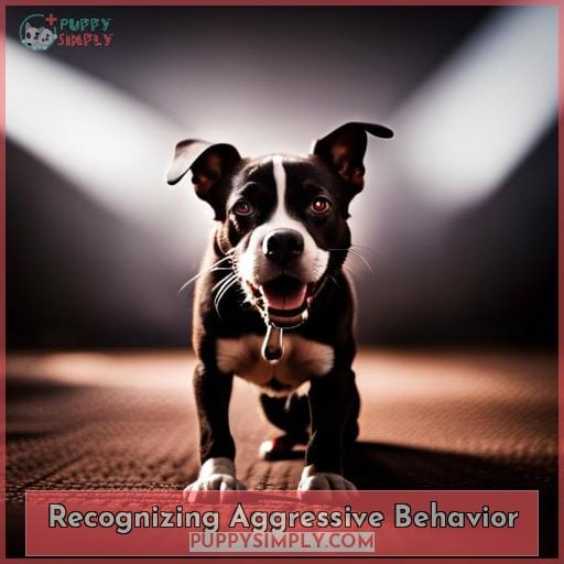 Recognizing Aggressive Behavior