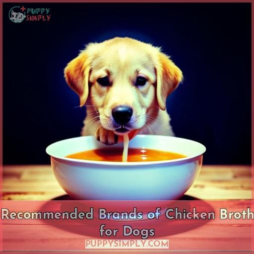 Recommended Brands of Chicken Broth for Dogs