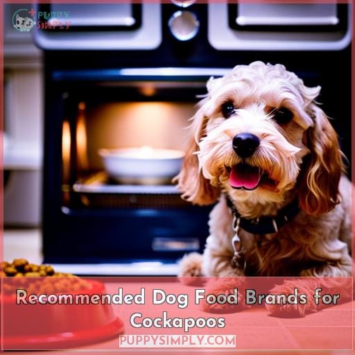 Recommended Dog Food Brands for Cockapoos