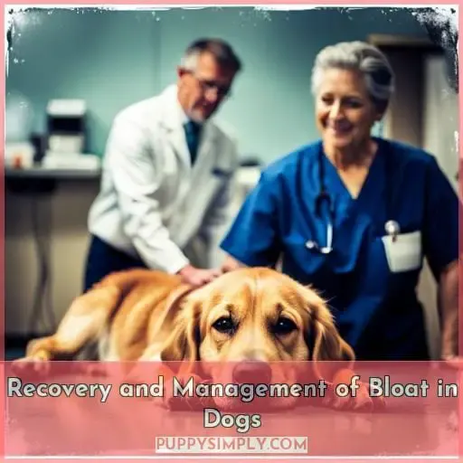 Recovery and Management of Bloat in Dogs