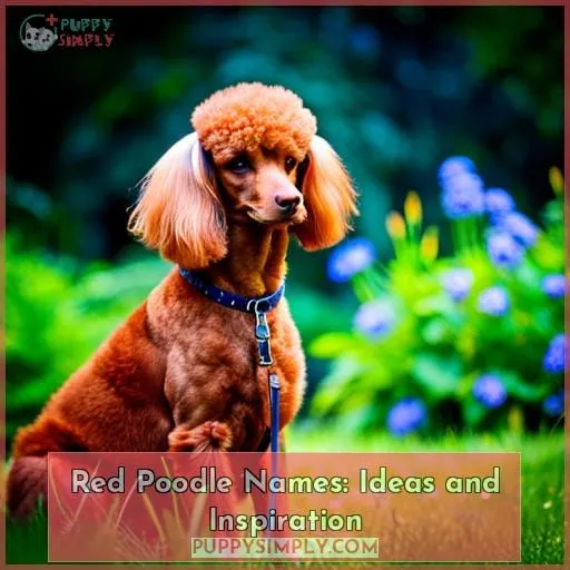 Red Poodle Names: Ideas and Inspiration