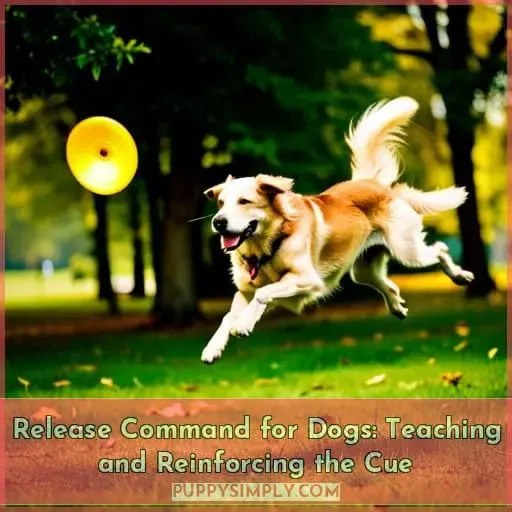 release command for dogs