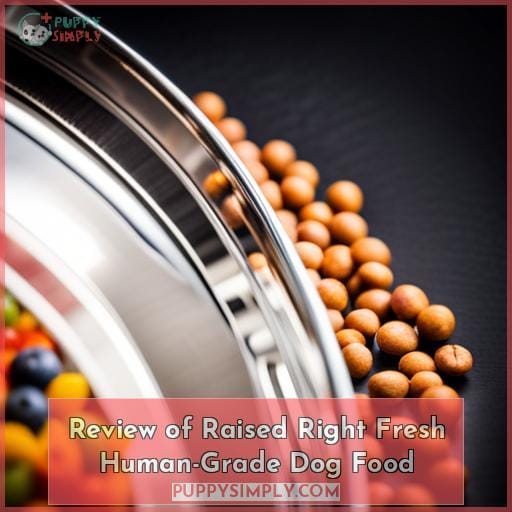 Review of Raised Right Fresh Human-Grade Dog Food