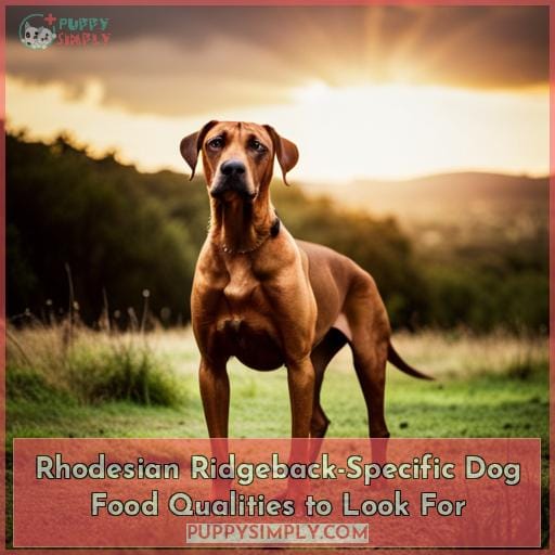 Rhodesian Ridgeback-Specific Dog Food Qualities to Look For