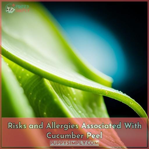 Risks and Allergies Associated With Cucumber Peel