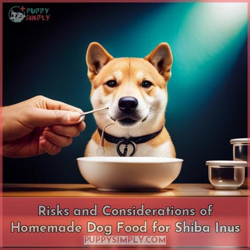 Risks and Considerations of Homemade Dog Food for Shiba Inus