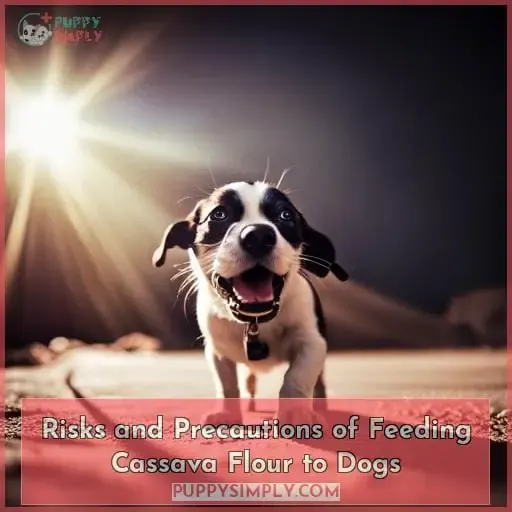 Risks and Precautions of Feeding Cassava Flour to Dogs