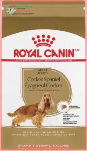 Royal Canin Breed Health Nutrition 33898