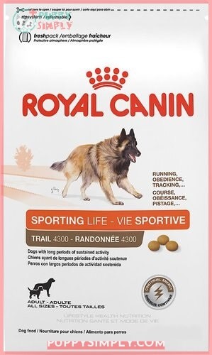 Royal Canin Sporting Life Trail