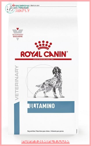 Royal Canin Veterinary Diet Adult