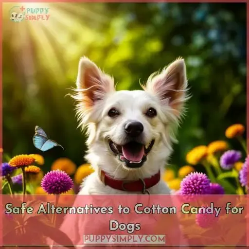 Safe Alternatives to Cotton Candy for Dogs