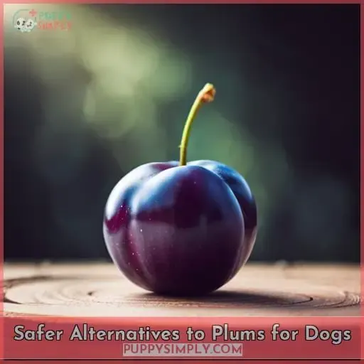 Safer Alternatives to Plums for Dogs