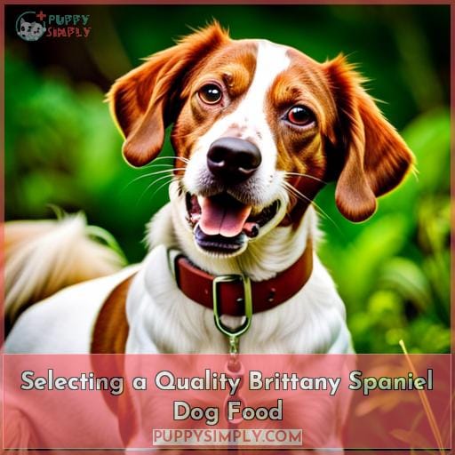 Selecting a Quality Brittany Spaniel Dog Food