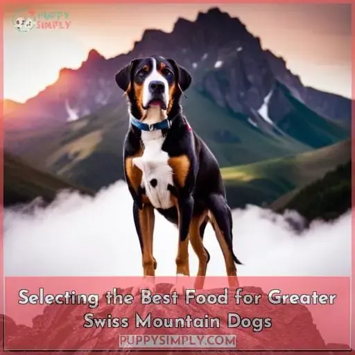 Selecting the Best Food for Greater Swiss Mountain Dogs