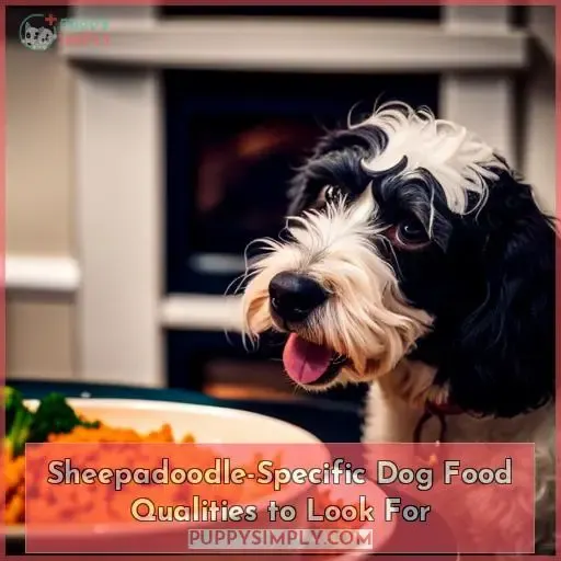 Sheepadoodle-Specific Dog Food Qualities to Look For