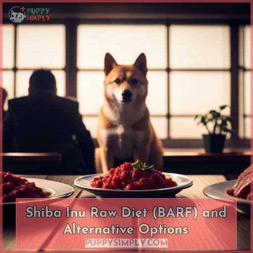 Shiba Inu Raw Diet (BARF) and Alternative Options