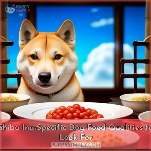 Shiba Inu-Specific Dog Food Qualities to Look For