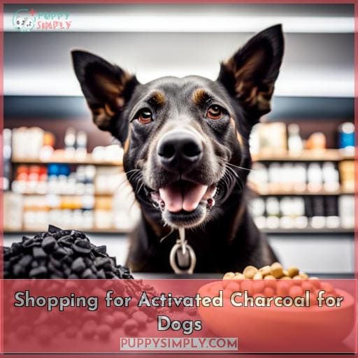 Shopping for Activated Charcoal for Dogs
