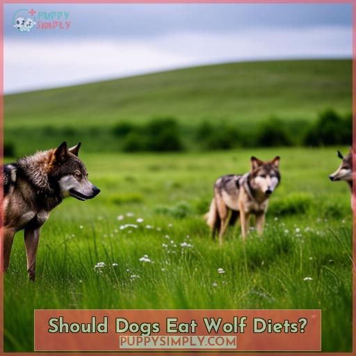 Should Dogs Eat Wolf Diets