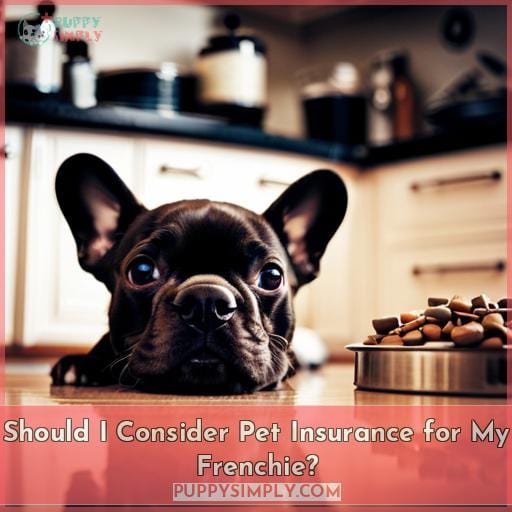 Should I Consider Pet Insurance for My Frenchie