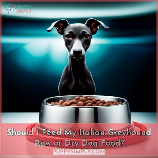 Should I Feed My Italian Greyhound Raw or Dry Dog Food
