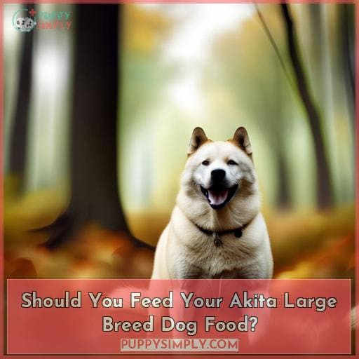 Should You Feed Your Akita Large Breed Dog Food