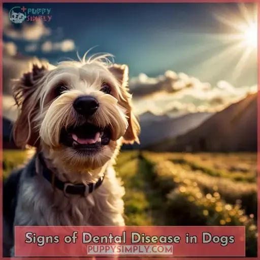 Signs of Dental Disease in Dogs