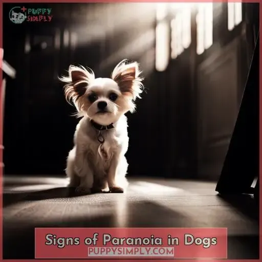 Signs of Paranoia in Dogs