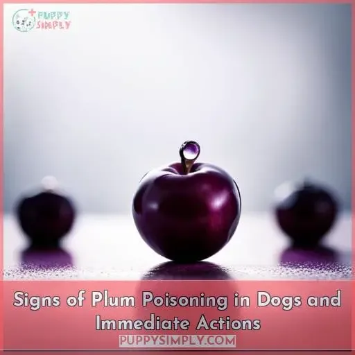 Signs of Plum Poisoning in Dogs and Immediate Actions