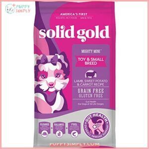Solid Gold Mighty Mini Small B073ZDMY8N