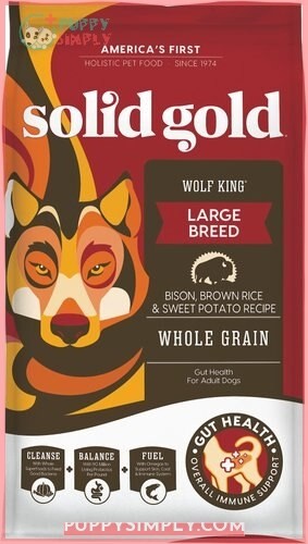 Solid Gold Wolf King Bison