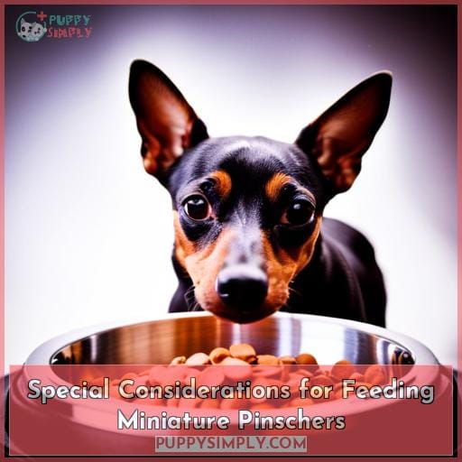Special Considerations for Feeding Miniature Pinschers