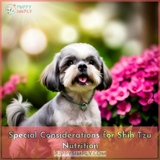 Special Considerations for Shih Tzu Nutrition